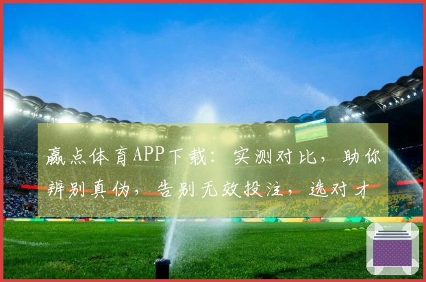 赢点体育APP下载：实测对比，助你辨别真伪，告别无效投注，选对才赢！