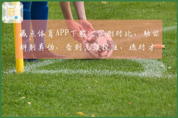赢点体育APP下载：实测对比，助你辨别真伪，告别无效投注，选对才赢！